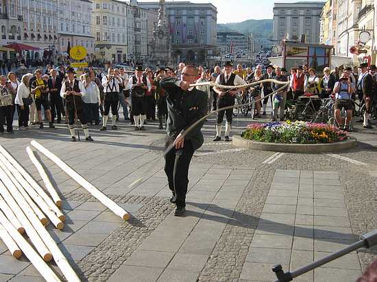 Maibaum_Linz_036.JPG